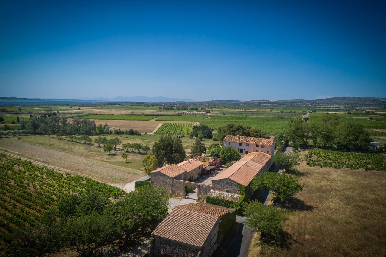 Les Fenals Villa Fitou Exterior foto