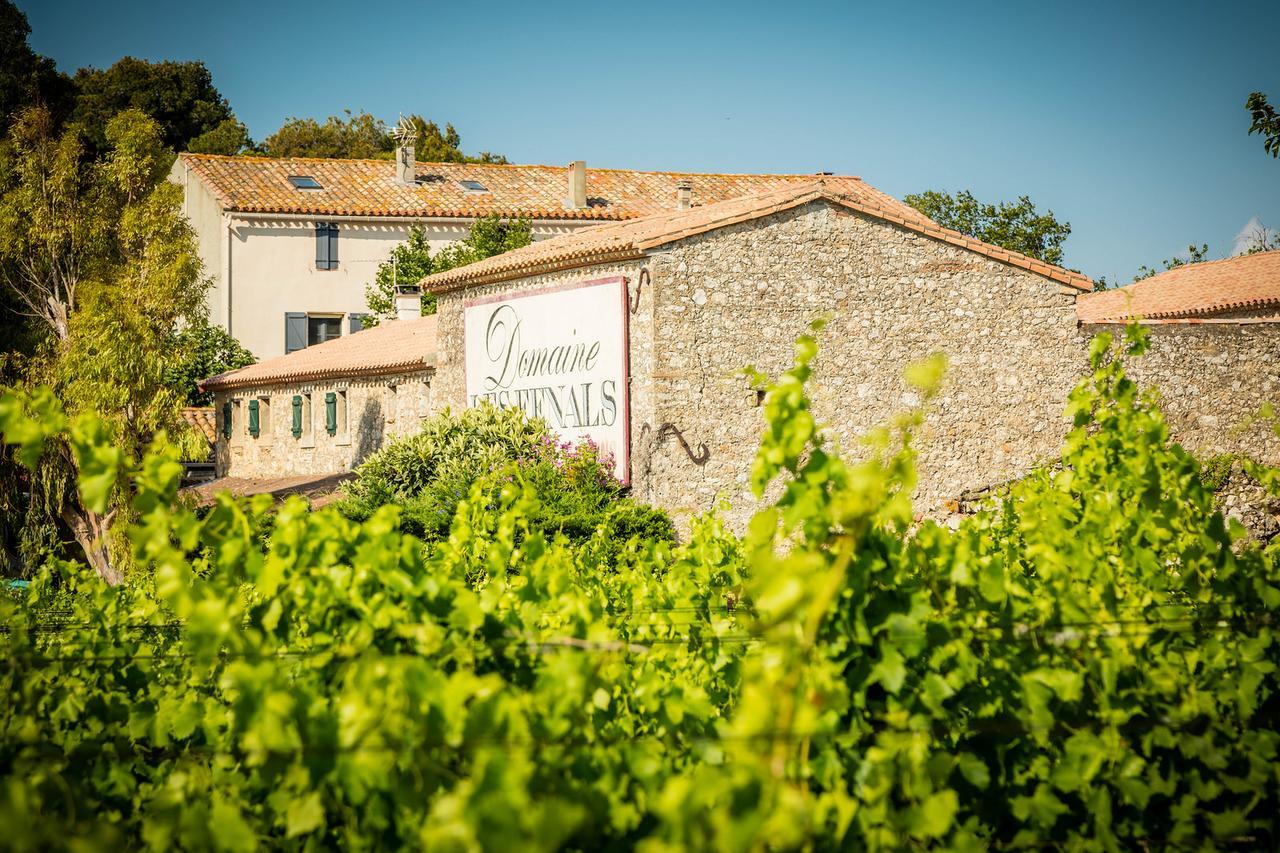 Les Fenals Villa Fitou Exterior foto